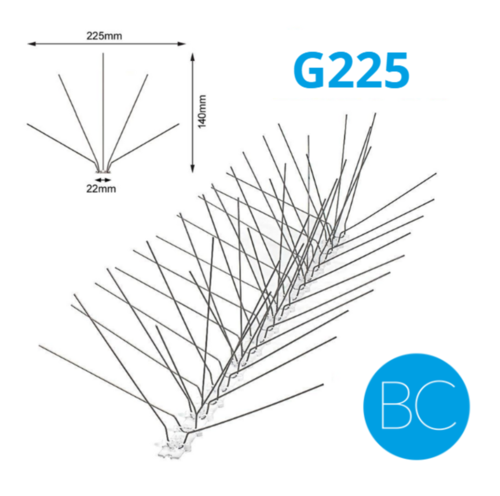 PICS GOÉLANDS/ MOUETTES BC CACTUS G225 12.5M