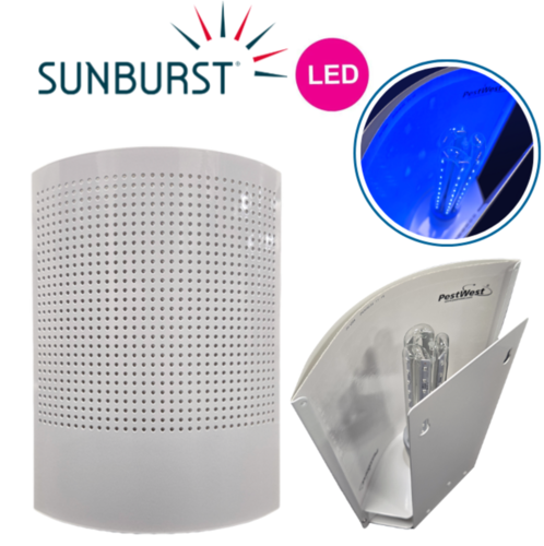 SUNBURST® LED BLANC