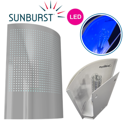 SUNBURST® LED GRIS