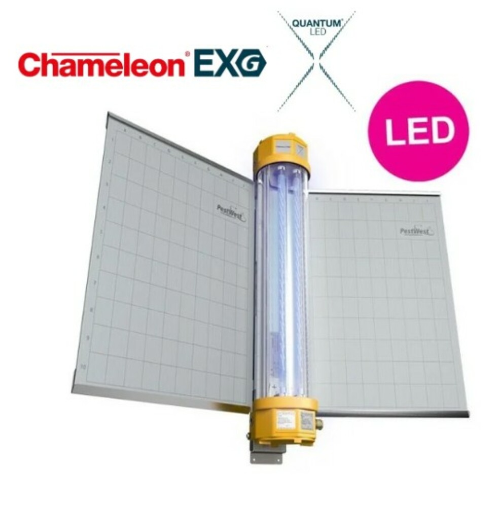 CHAMELEON® EXG X LED DESTRUCTEUR D'INSECTES VOLANTS PESTWEST®