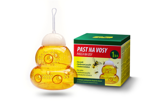 Wasp Trap – bottle