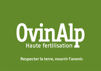 Aude Bellavoine