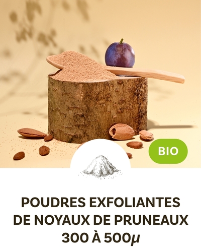 Poudre exfoliante de noyaux de pruneaux BIO 300<>500 µm