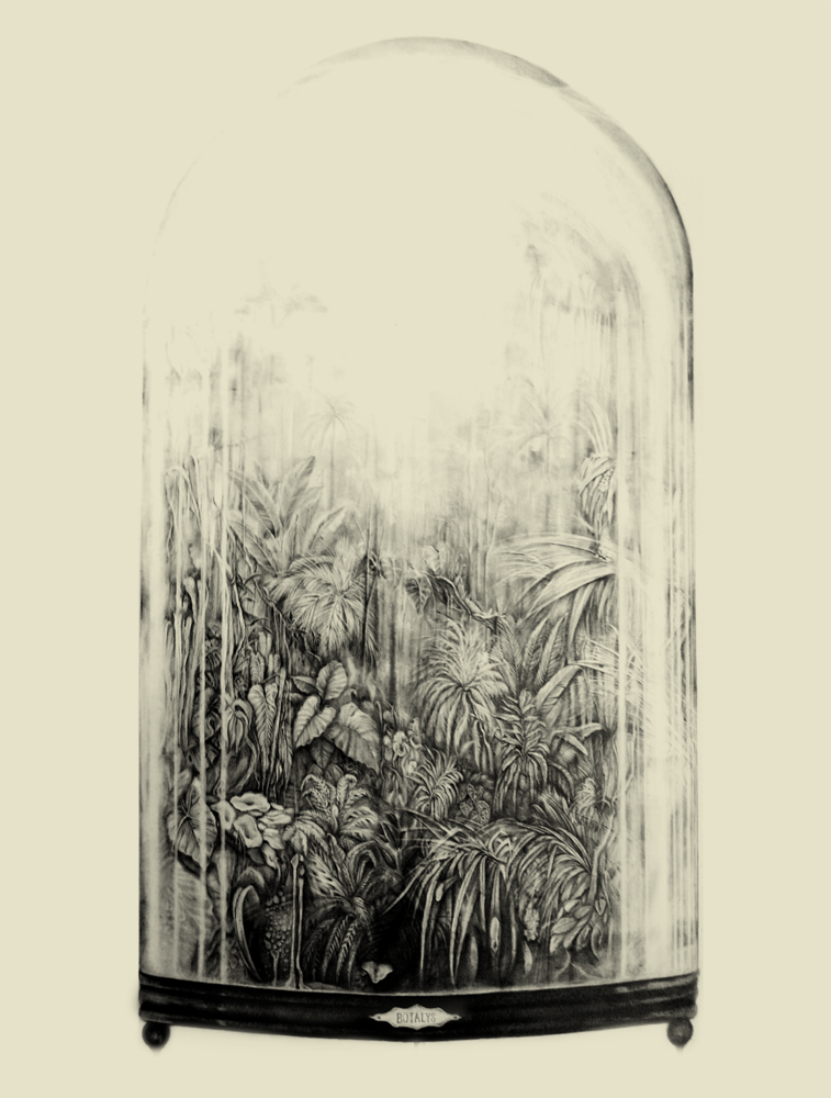 The Botanical Haute Couture Platform