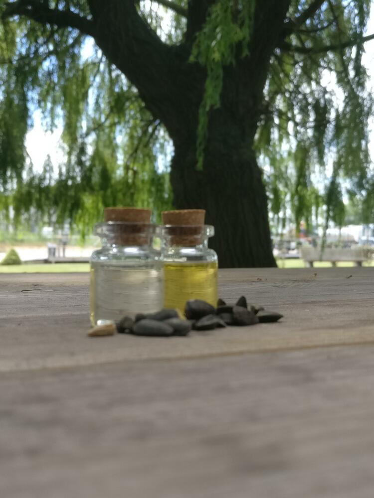 Huile de Tournesol bio France