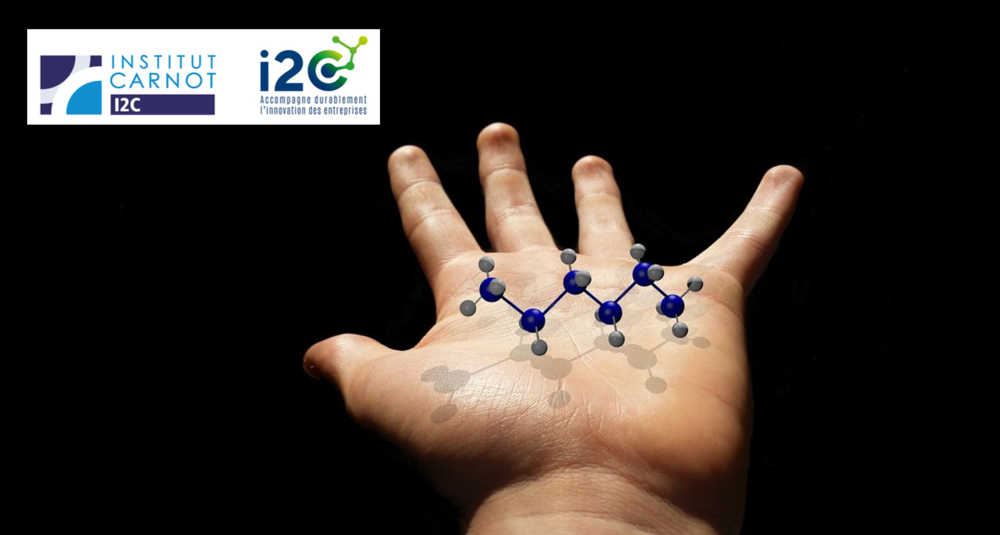 CARNOT I2C _ Research Partnerships IN COSMETICS
