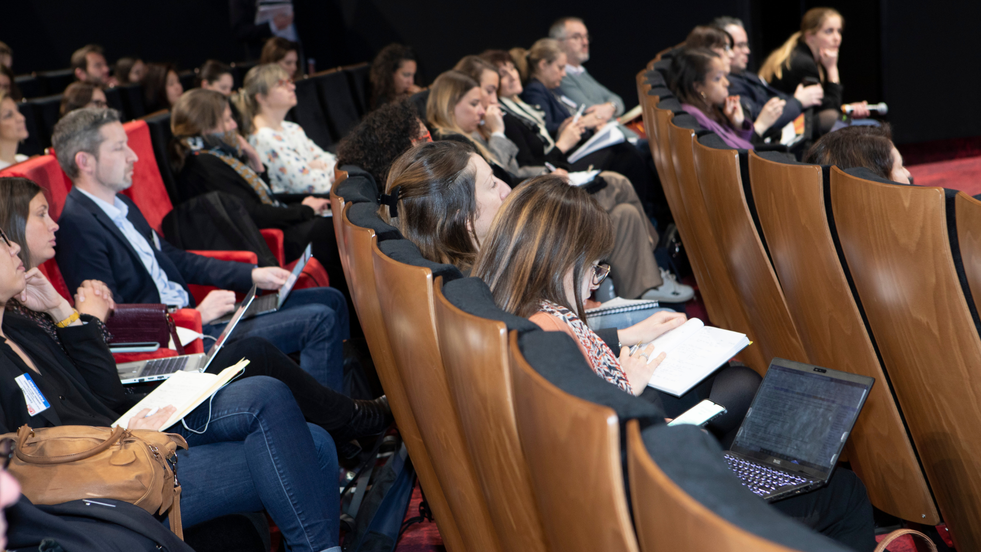 Category Management & Merchandising