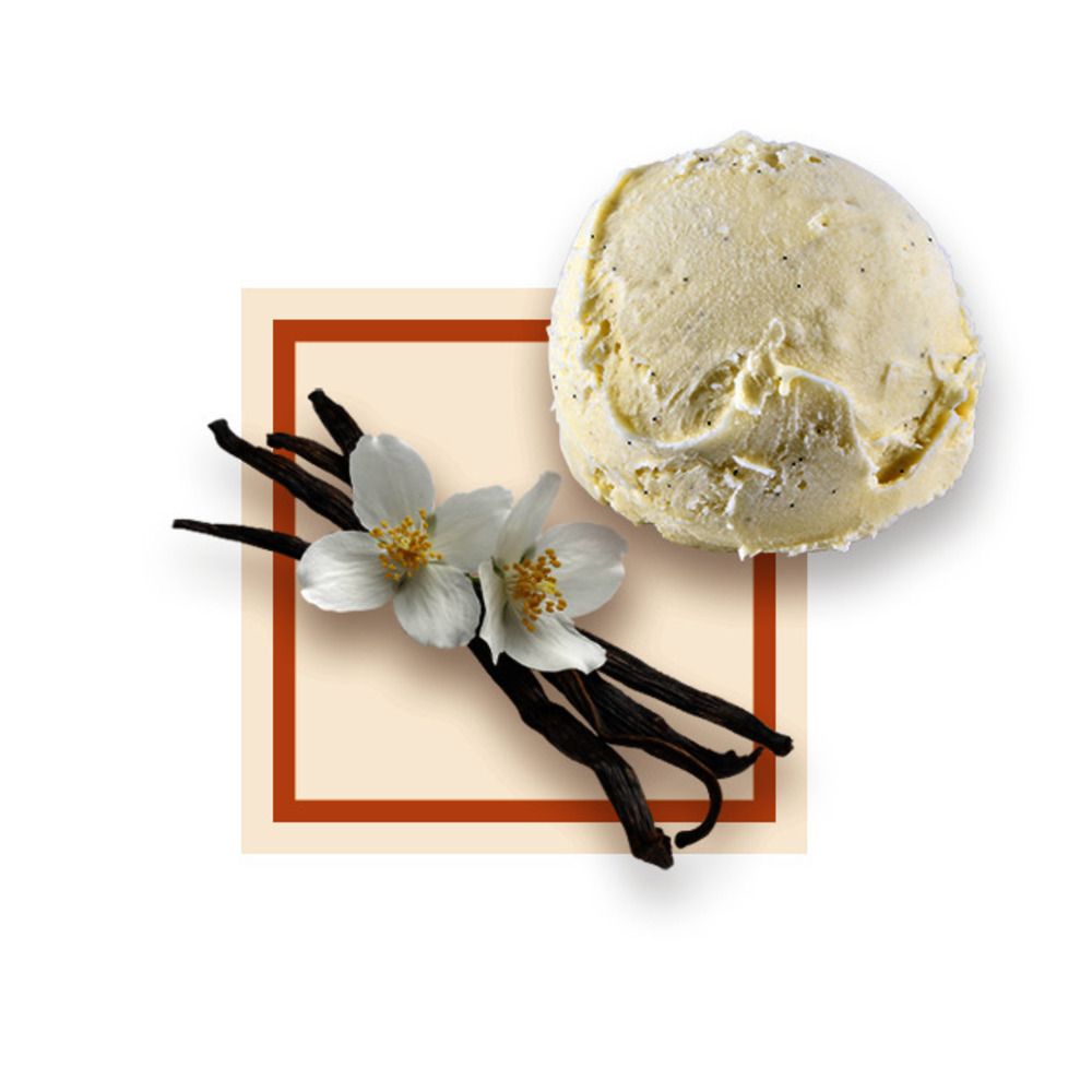 Glace vanille 2,5Lx8 GDA - 14097 -