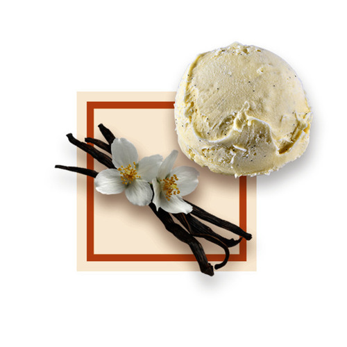Glace vanille 2,5Lx8 GDA - 14097 -