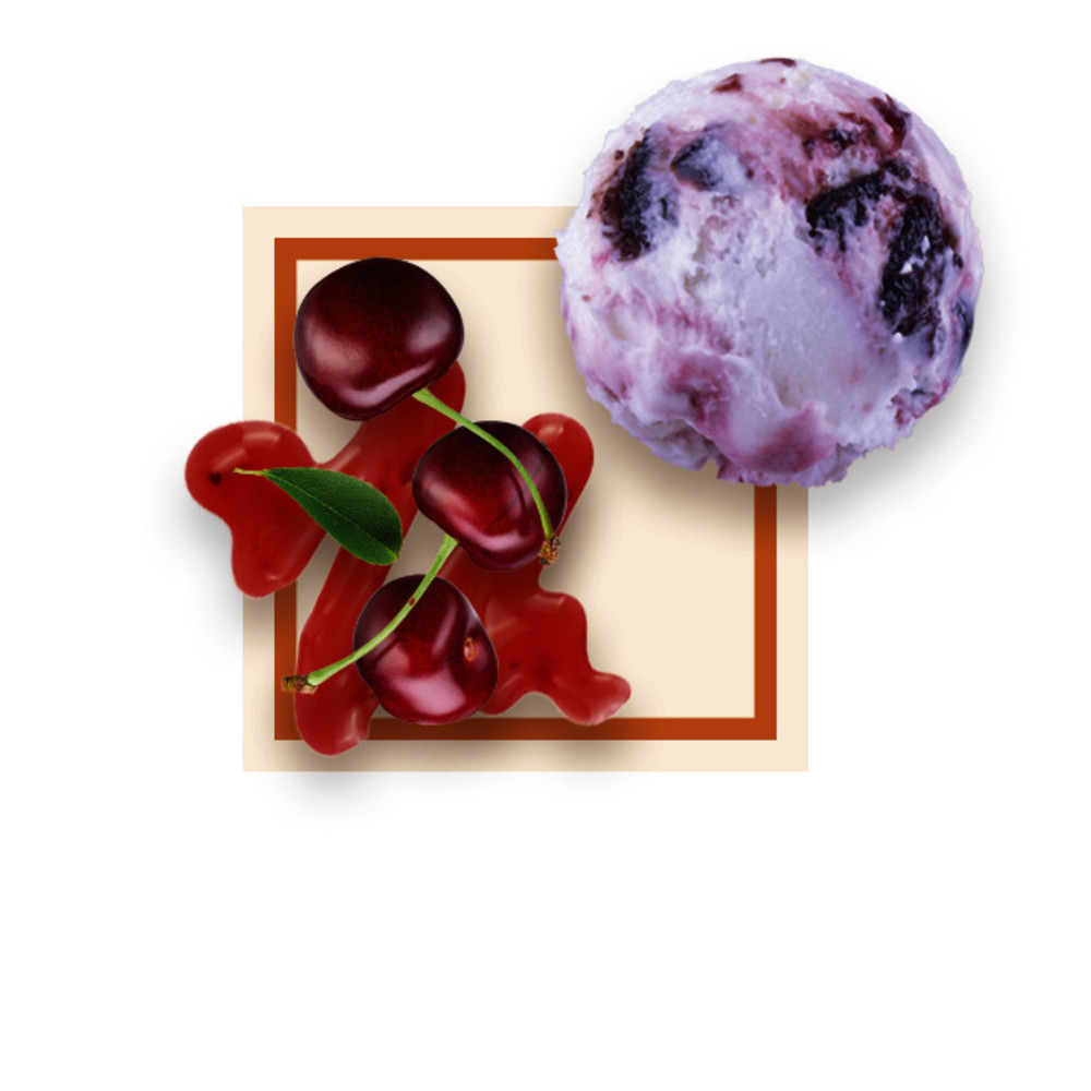 Glace amarena 2,5Lx8 GDA - 13620 -