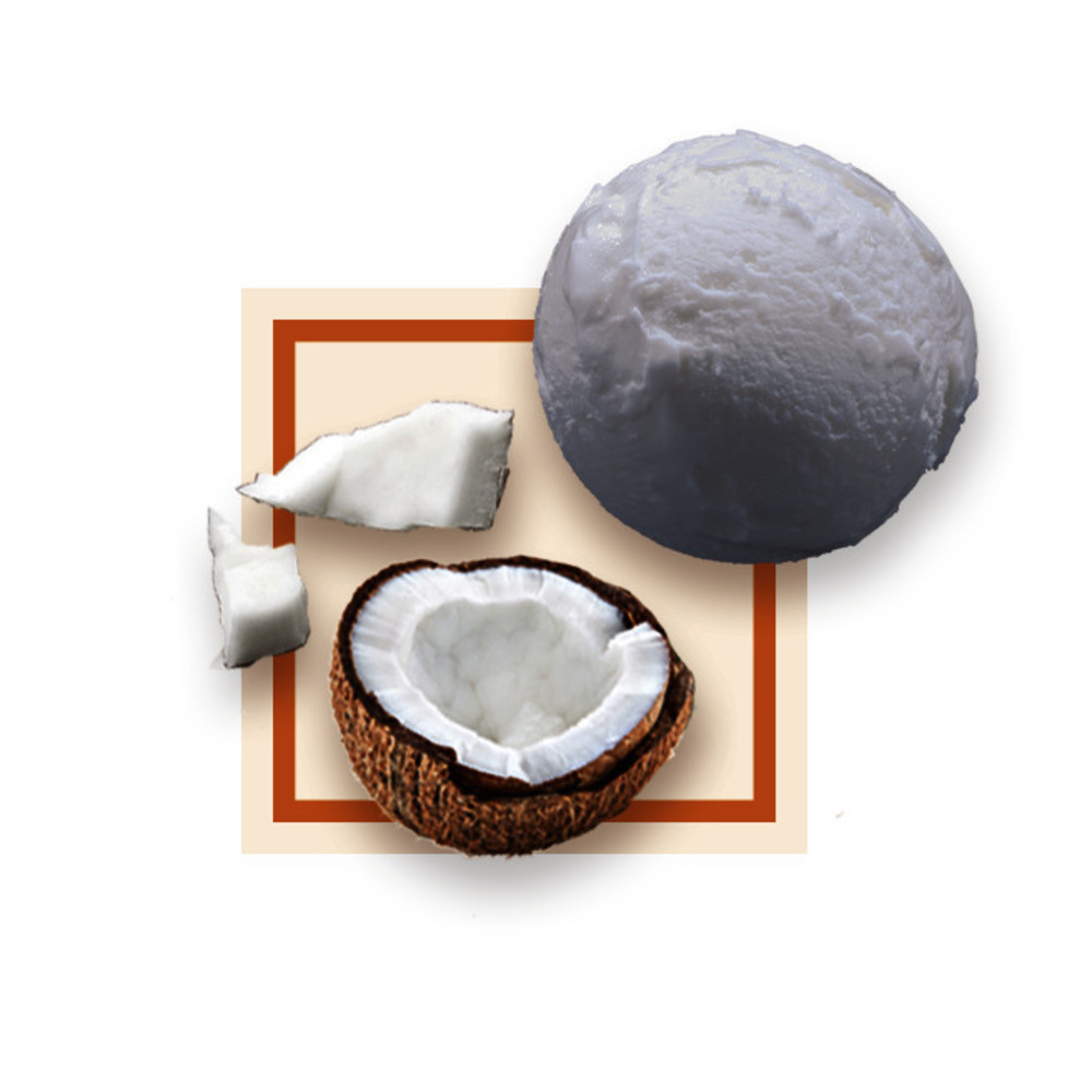 Glace noix de coco 2,5Lx8 GDA - 14045 -