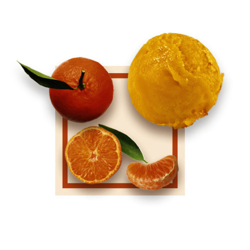 Sorbet clementine Corse 2,5Lx8 GDA - 243111 -
