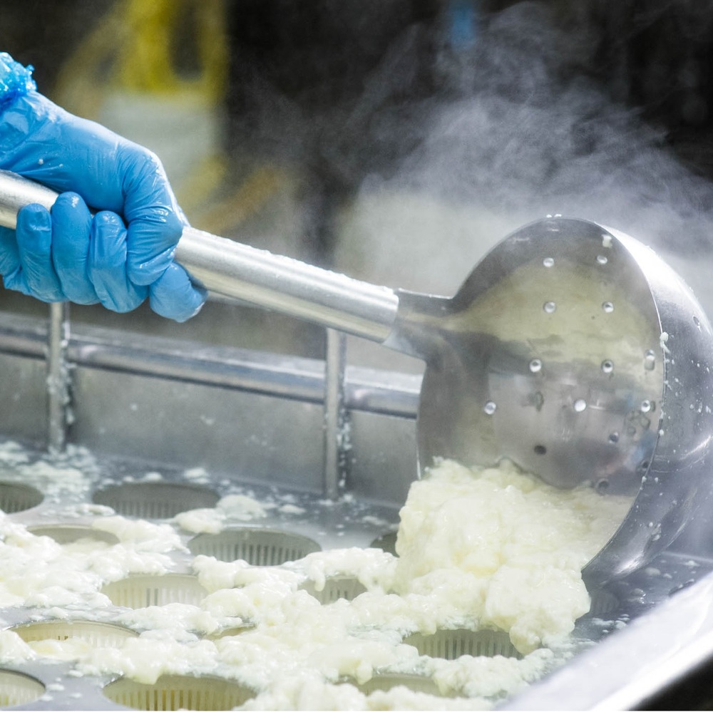 FROMAGE FRAIS BROUSSE | 24114