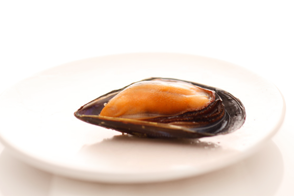 Moule de France Méditerrannée