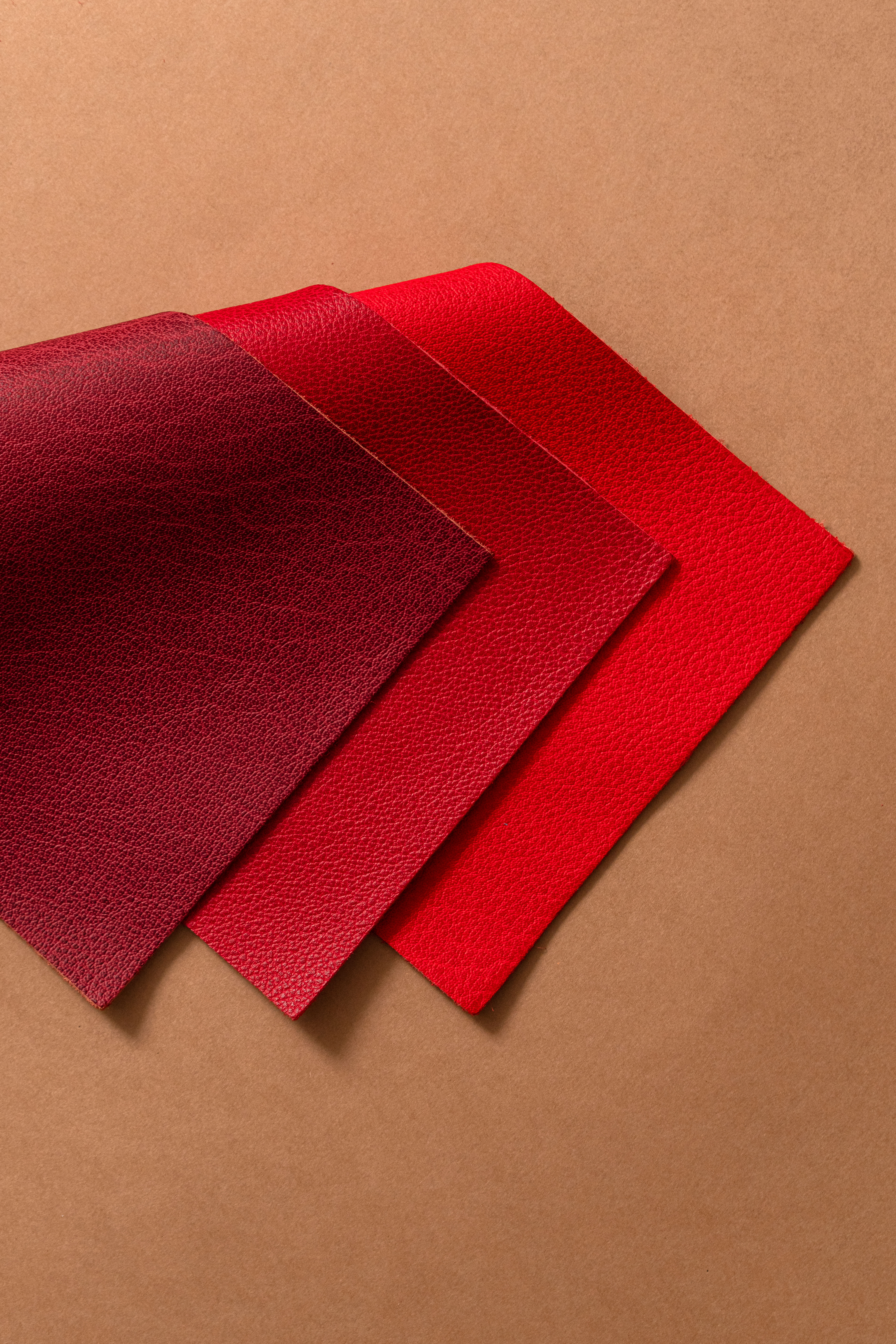 CENTRE TECHNIQUE DU CUIR