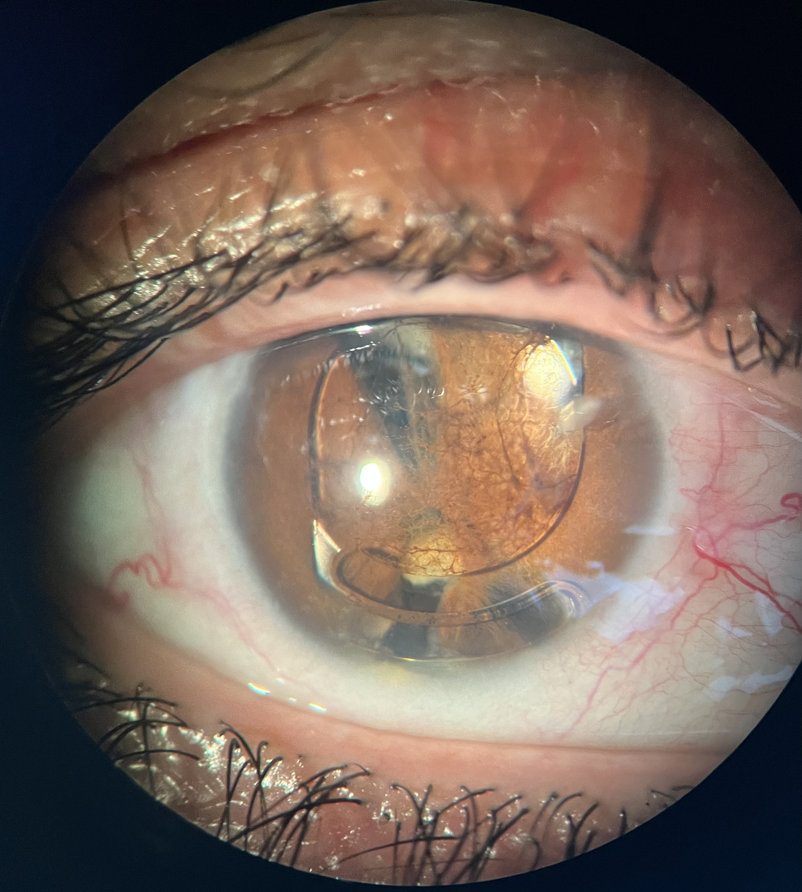 What a mess! @Julie Vaulot