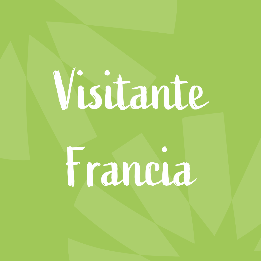 Visiteur France