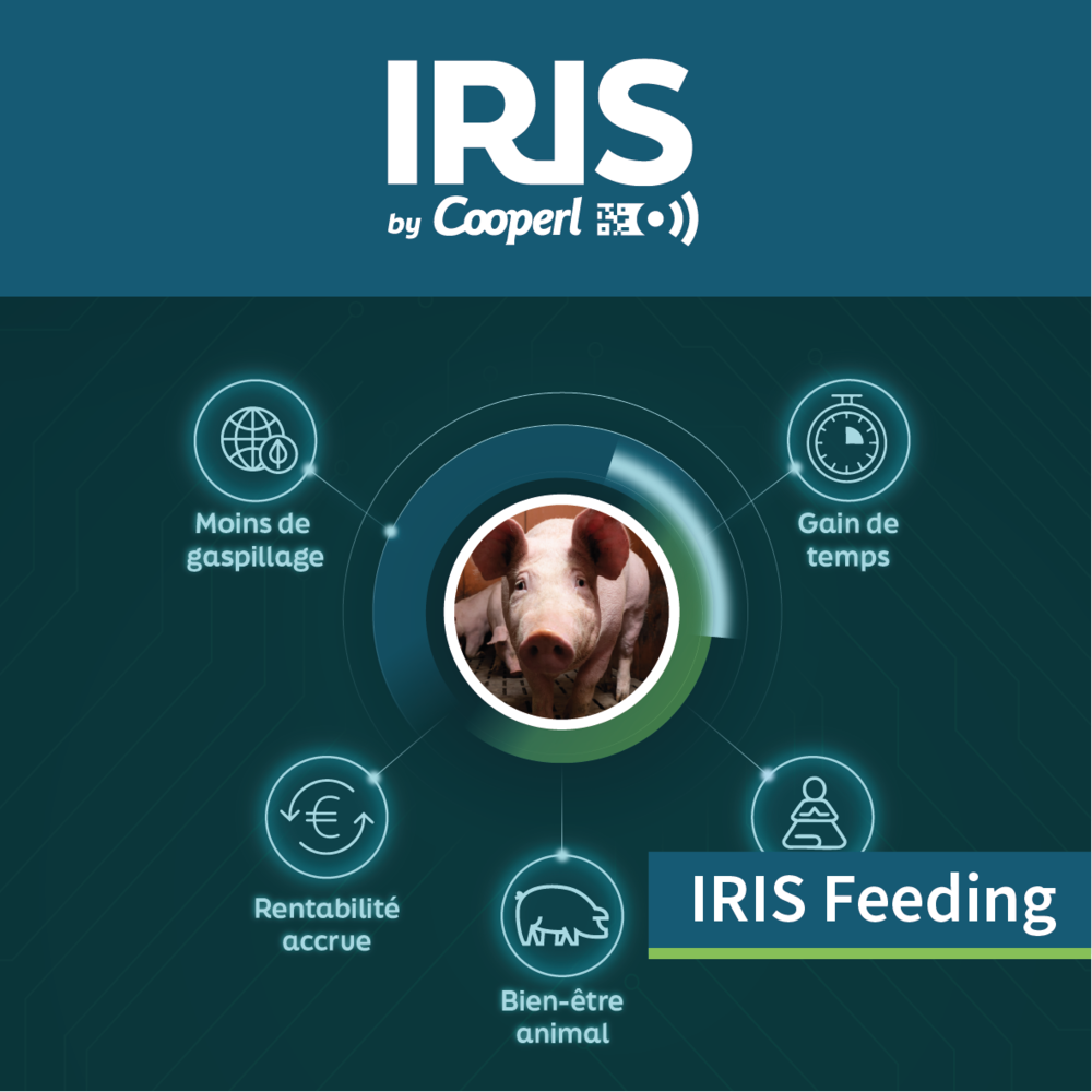 IRIS Feeding
