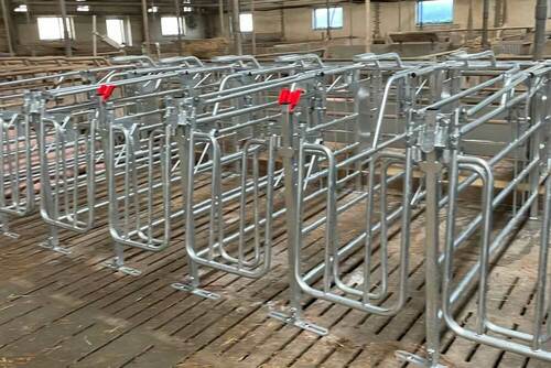 MAG BOX, CAGE DE GESTATION AUTOBLOQUANTE