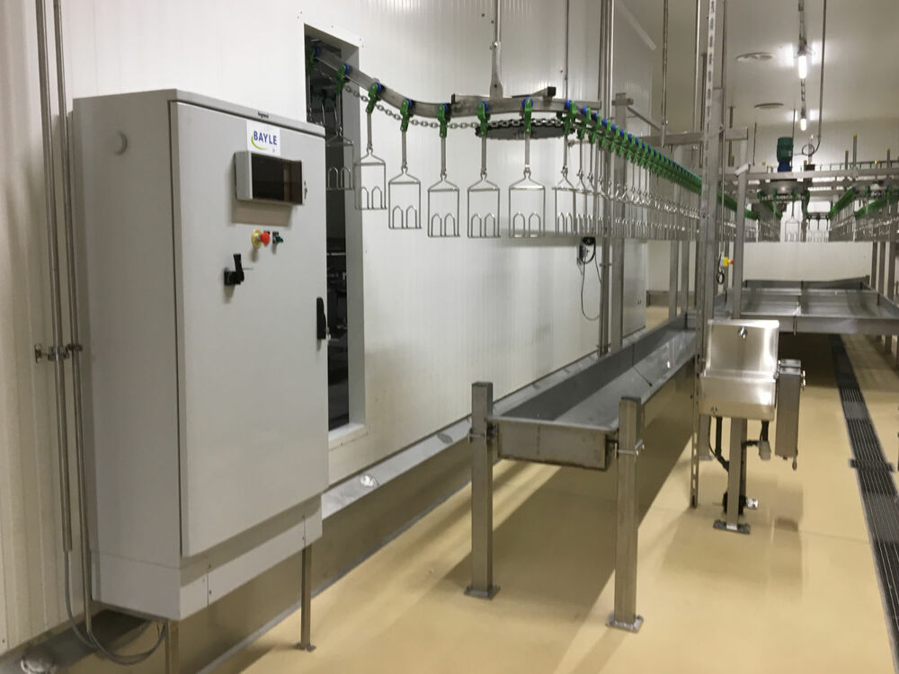 Solutions d’abattage de volailles