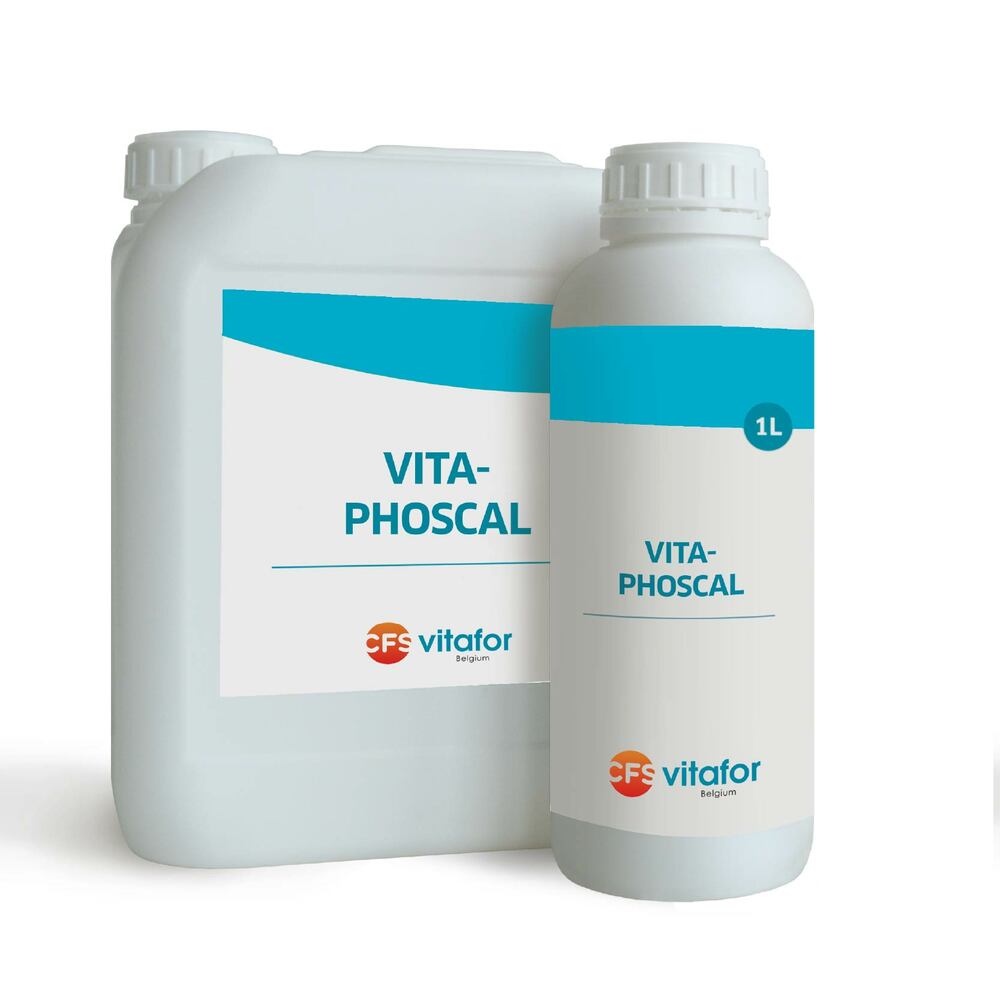 VITA-PHOSCAL