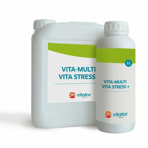 VITA-MULTI VITA STRESS+
