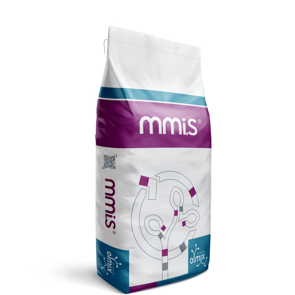MMi.S®