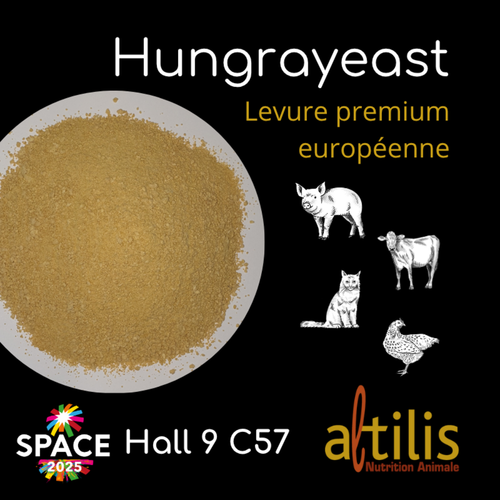 Hungrayeast