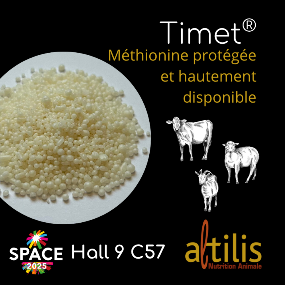 Timet®