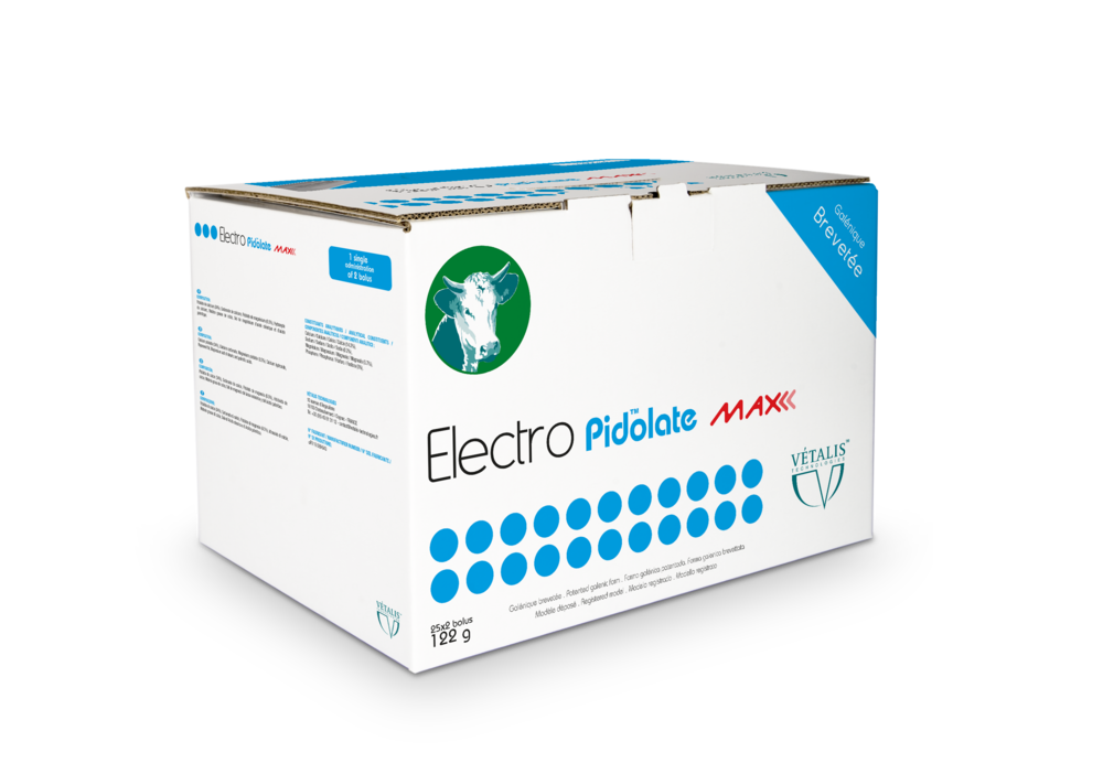 ElectroPidolate Max bolus de 122g