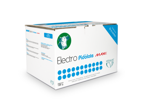 ElectroPidolate Max bolus de 122g
