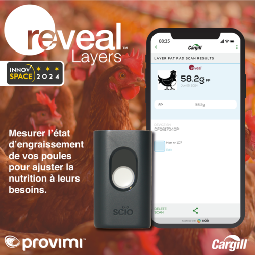 REVEAL® Layers