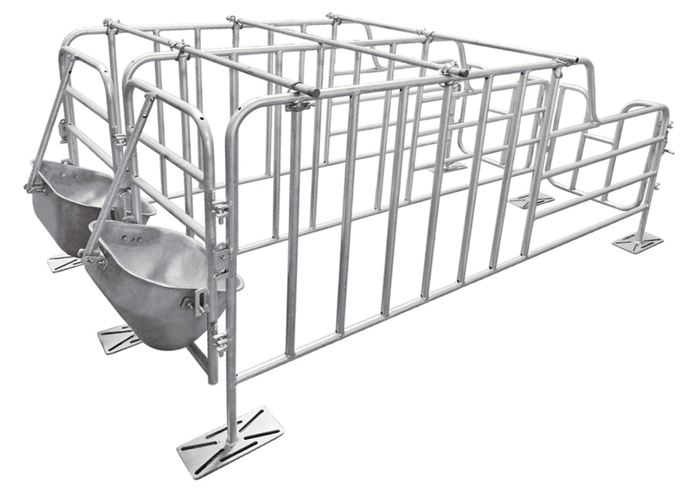 SOW GESTATION CRATE