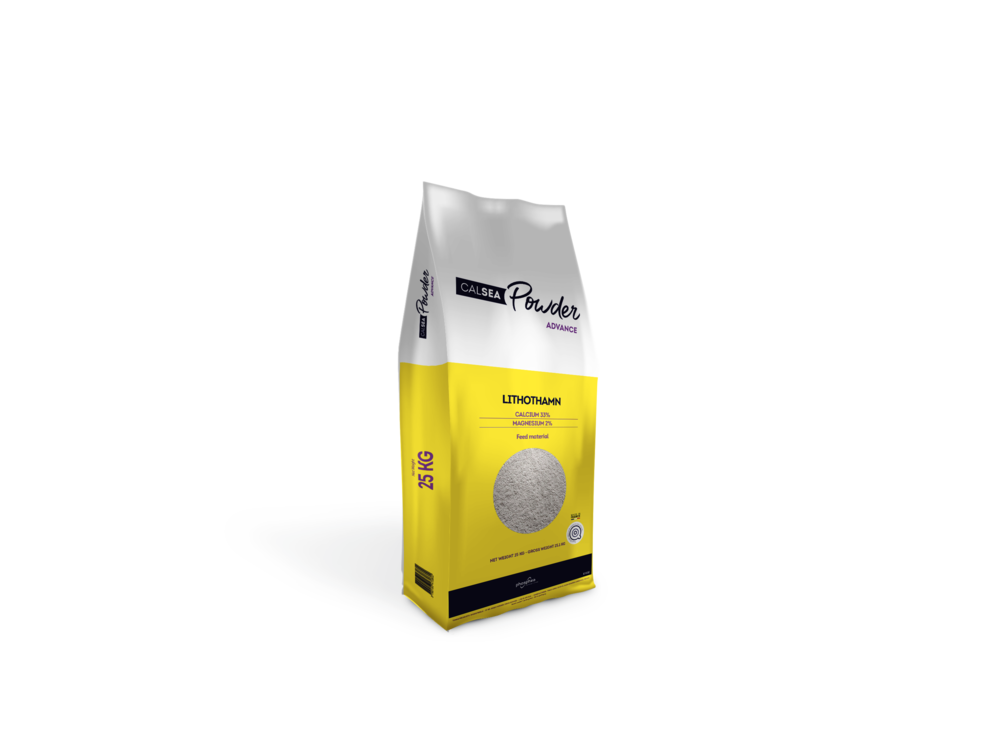 CALSEA POWDER Advance