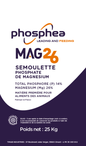 MAG26