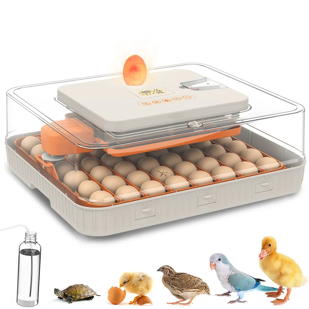 Incubateur d'œufs automatique HHD Brand 56, contrôle numérique de l'humidité, incubateur d'œufs de poule