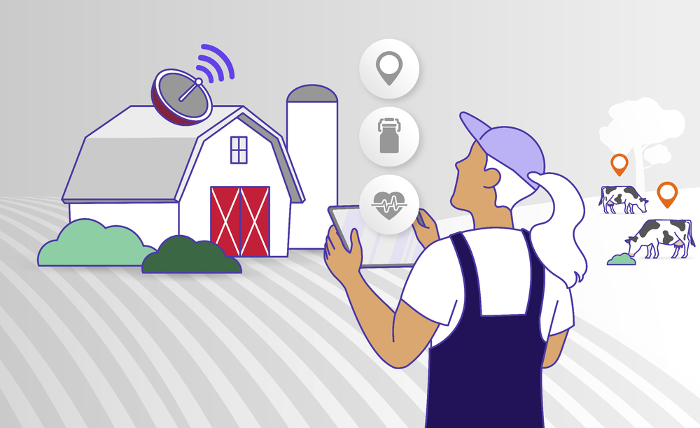 Conseils et Développements numériques sur mesure : appli mobile, extranet, outils de gestions de filières, e-commerces....