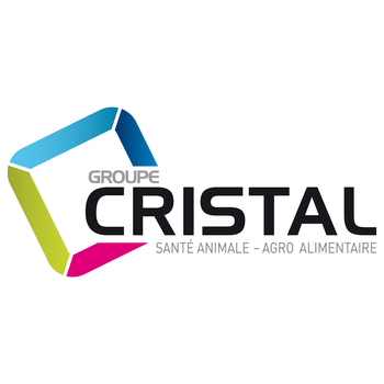 GROUPE CRISTAL