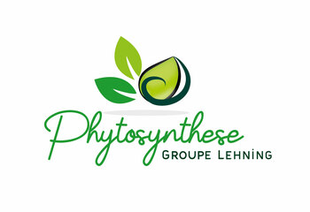 PHYTOSYNTHESE