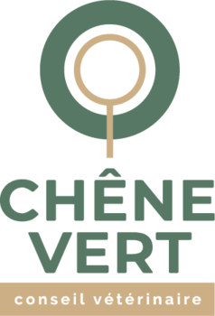 Séverine CHUBERRE