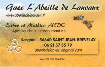 Mathieu AUDO