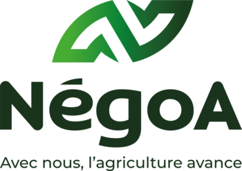 Cyril LEGRIS