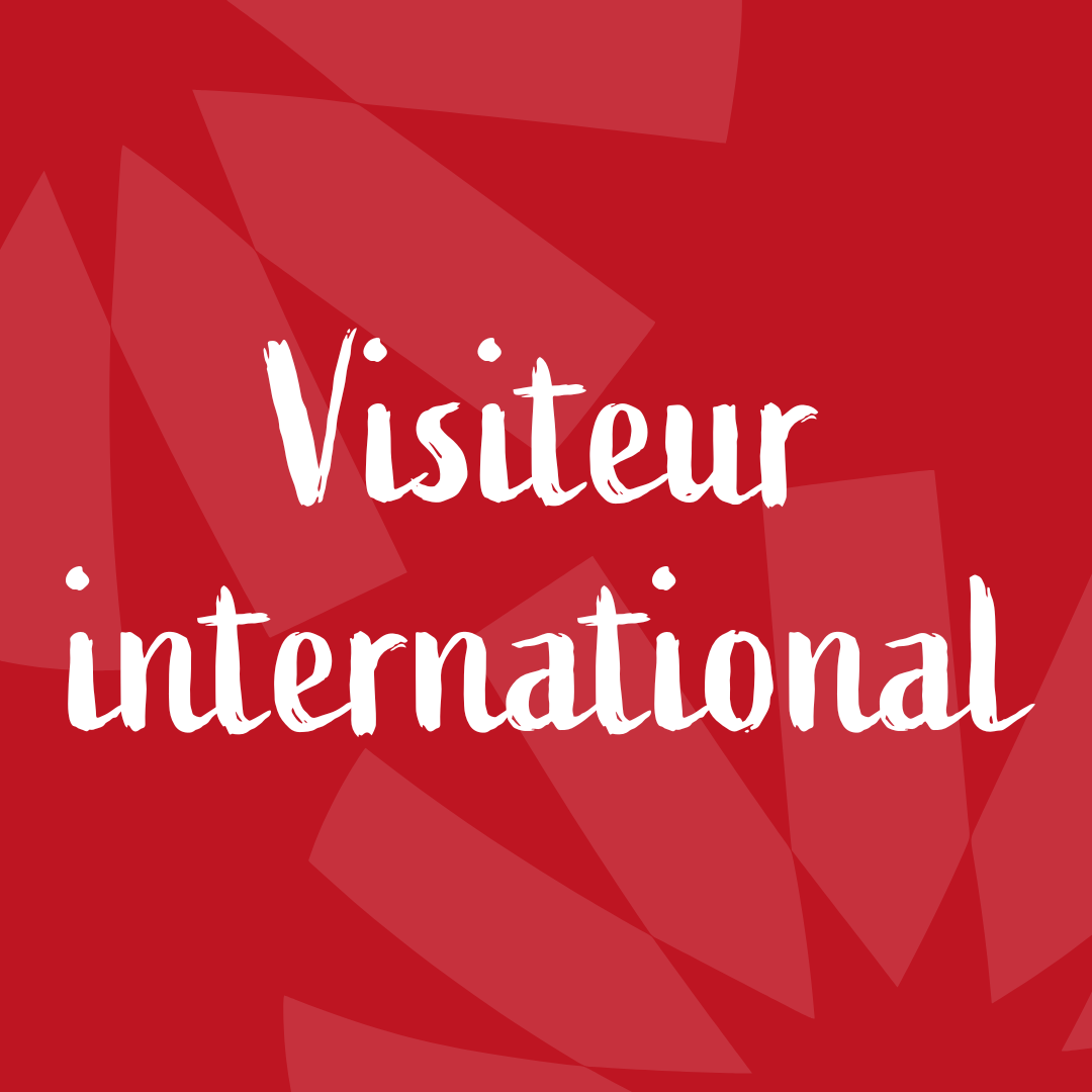 Visiteur international