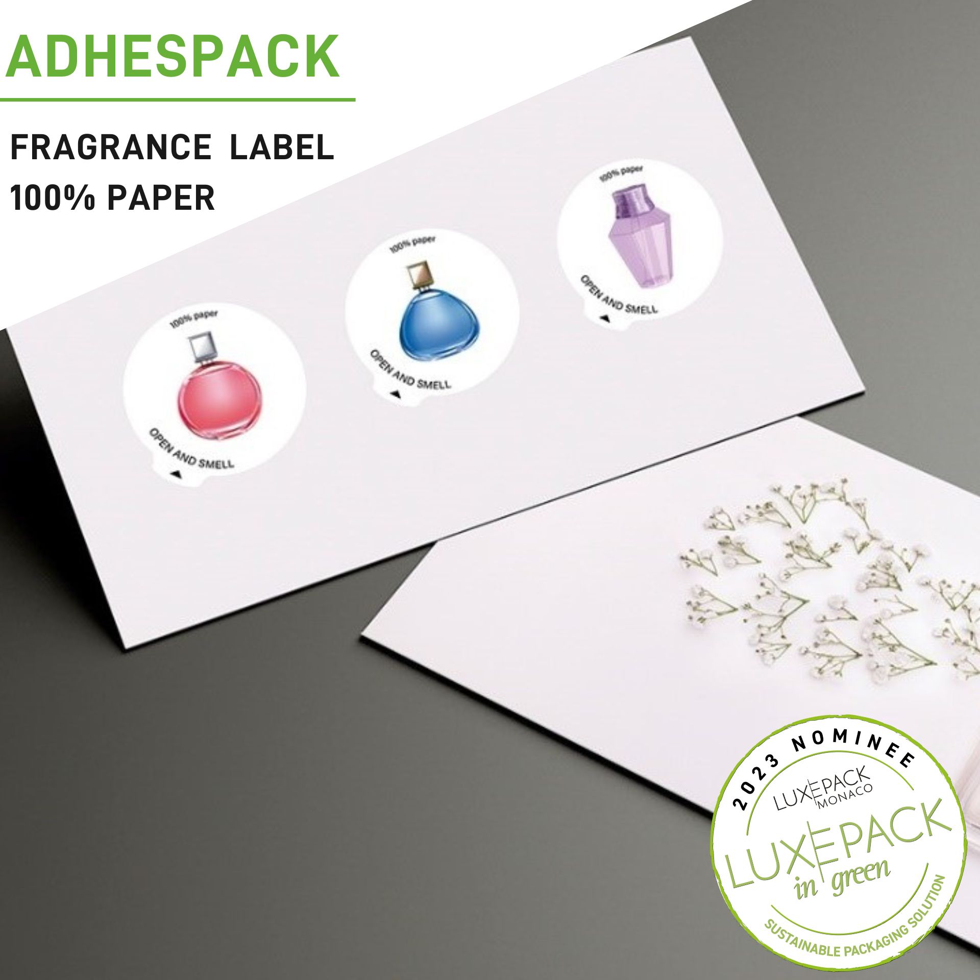 Luxe Pack in Green 2024