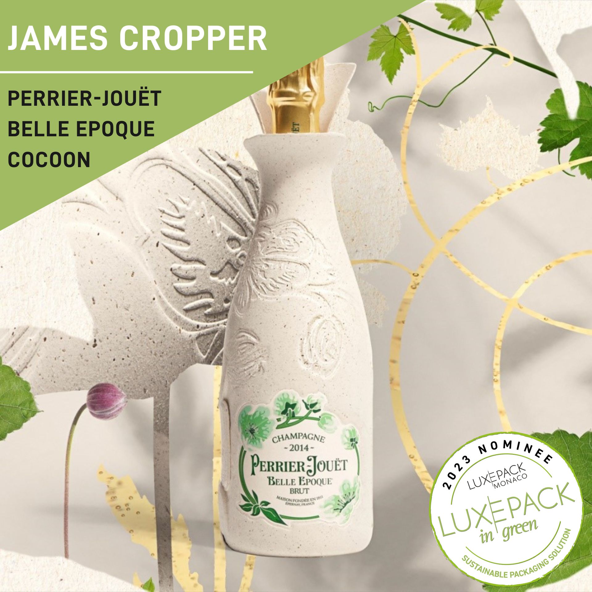 Luxe Pack in Green 2024