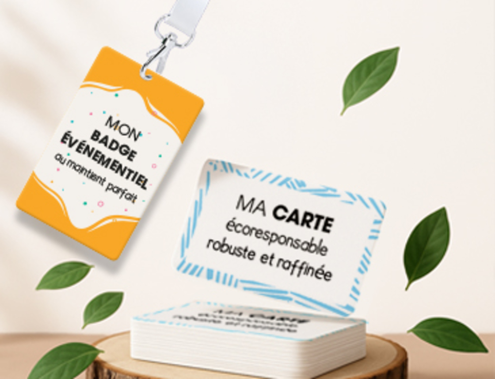 3-Cartes & Badges CARTON STARK