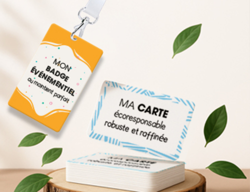 3-Cartes & Badges CARTON STARK