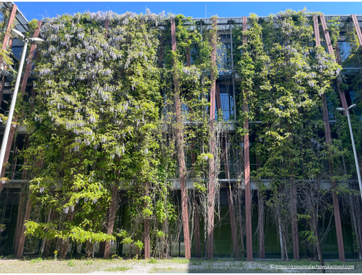 Institut für Physik - Modellhafte Regenwasserbewirtschaftung, Fassadenbegrünung und Gebäudekühlung, Berlin-Adlershof