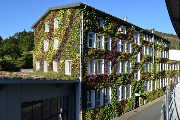 BestandsGebäudeGrün – Nachträgliche Begrünung von Dächern und Fassaden