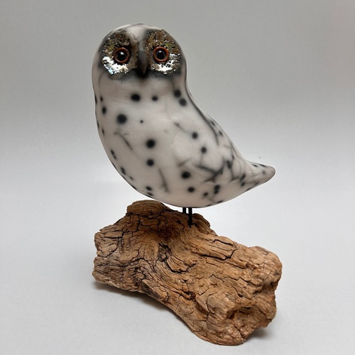 Chouette "raku nu"